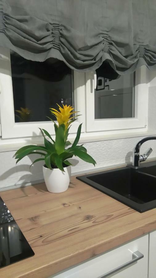 Apartment Tonka Шибеник Екстер'єр фото